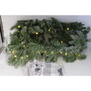 Home Reflections 9' Flocked Fairy Light Color Flip Garland