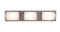 Allen + Roth Kinsley 22-In 3-Light Brushed Nickel LED Modern/Contemporary Vanity Light Bar